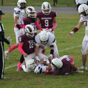 IMG-0231