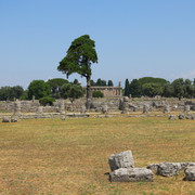 IMG-9108