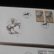 IMG-2541