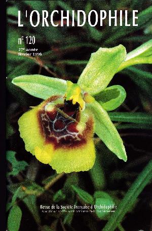orchido120.jpg?042148