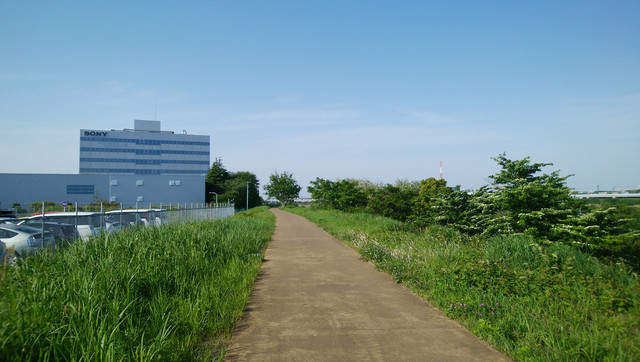 DSC-0136