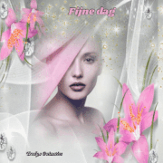 6.gif