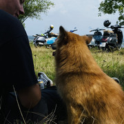 IMG-2075