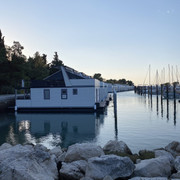 IMG-2535