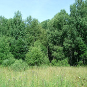 DSC07514