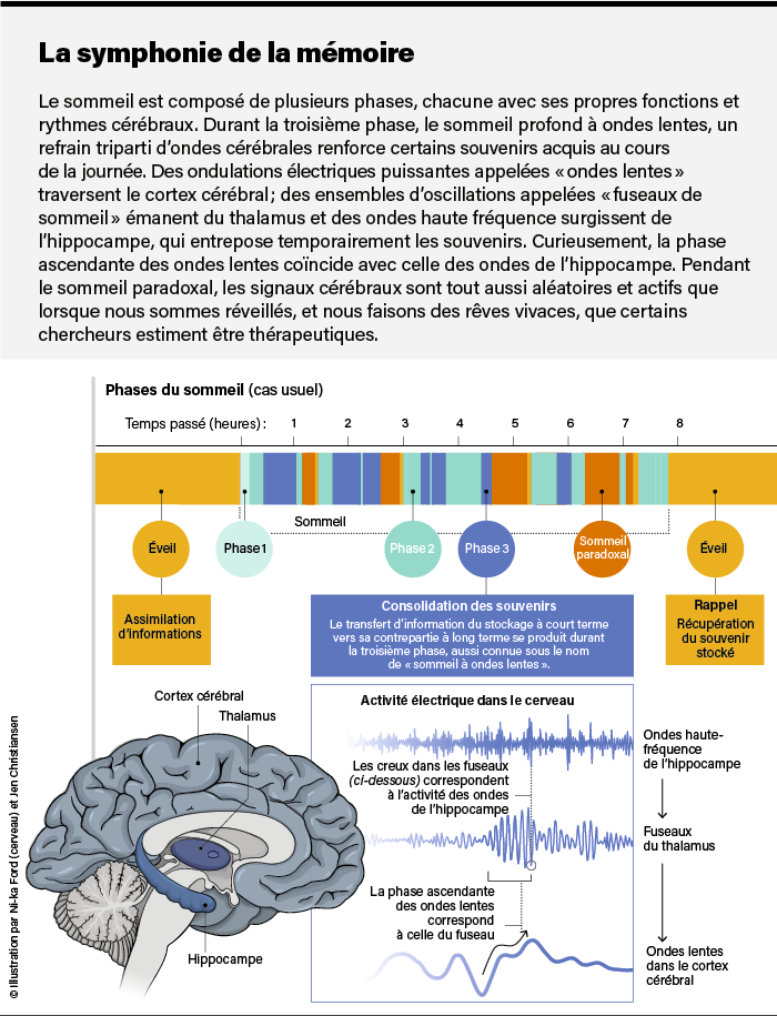 The Brain Song: Activate Your Brainwaves For A Sharper, Healthier Mind résultat