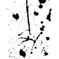 8d5567476702d9da00408521992daead