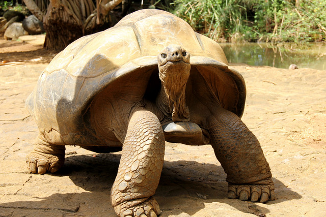 91