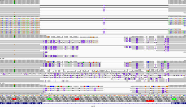 ngm-vs-bbmap