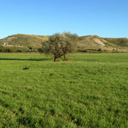 IMG-4136