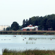 IMG-1795