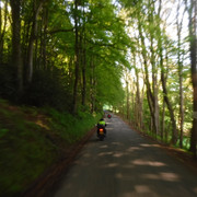 DSCF7859