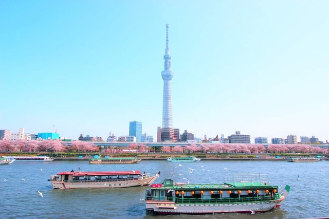 Tokyo-Japan