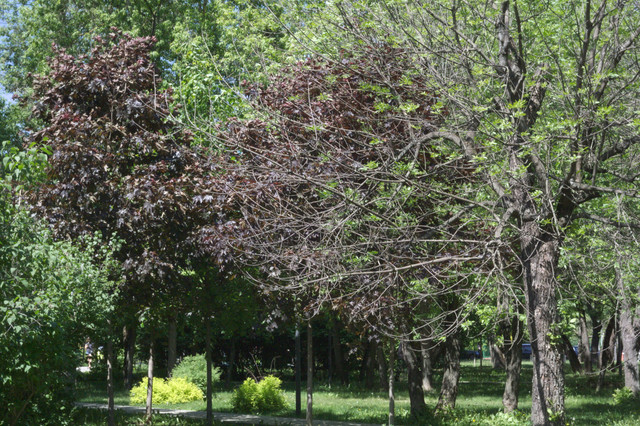 DSC3901.jpg