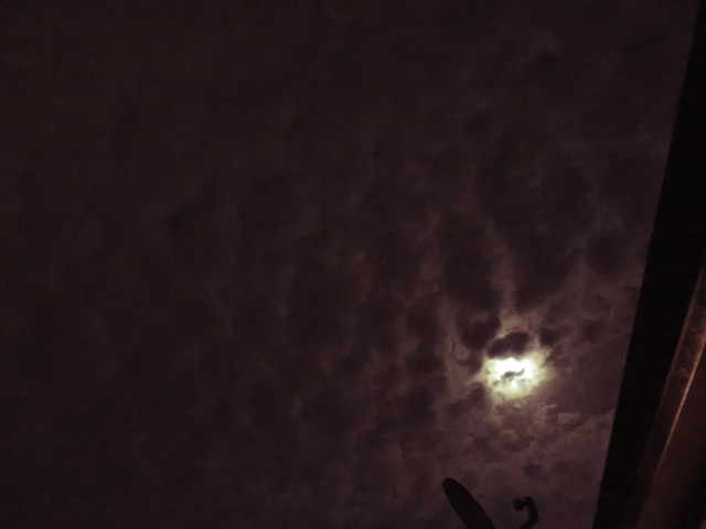 Pmoon-020.jpg