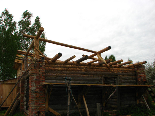 IMG-7155
