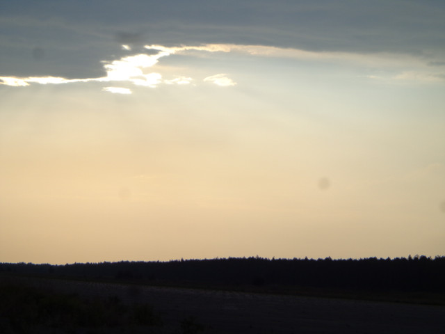 DSC01078.jpg