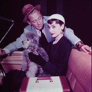 hep-sabrina