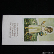 IMG-6978