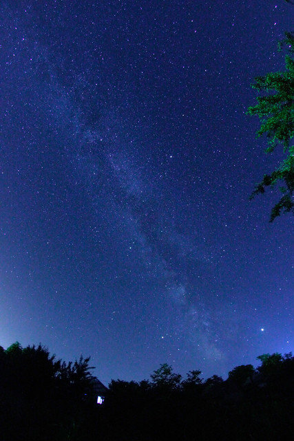 100c010061m