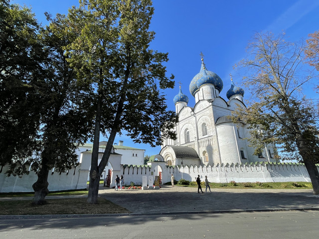 IMG-8351