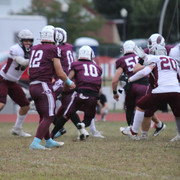 IMG-7334