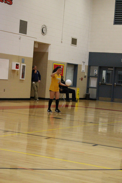 IMG-0338