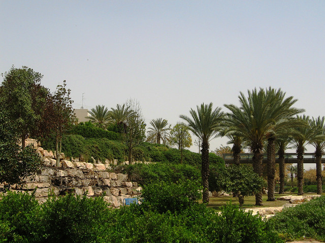 IMG-1568