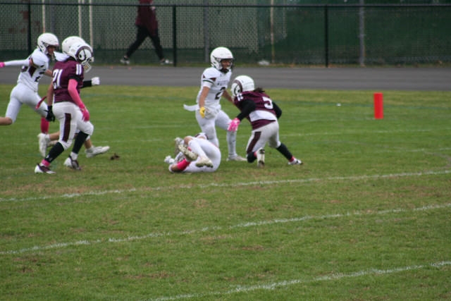 IMG-0743.jpg