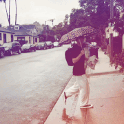 carrington-umbrella.gif