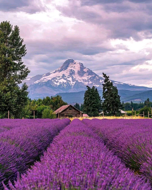Oregon-USA