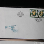 IMG-2485