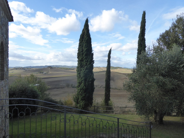 P1010456.jpg