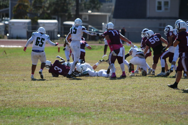IMG-8048.jpg
