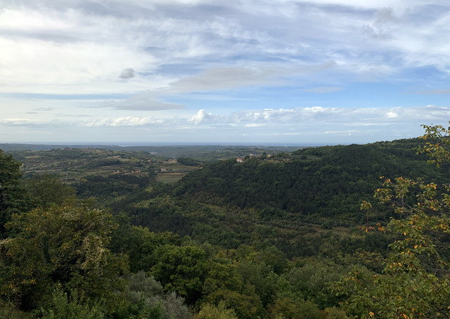 IMG-9489.jpg