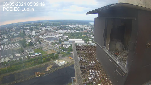 06-05-ODLOT
