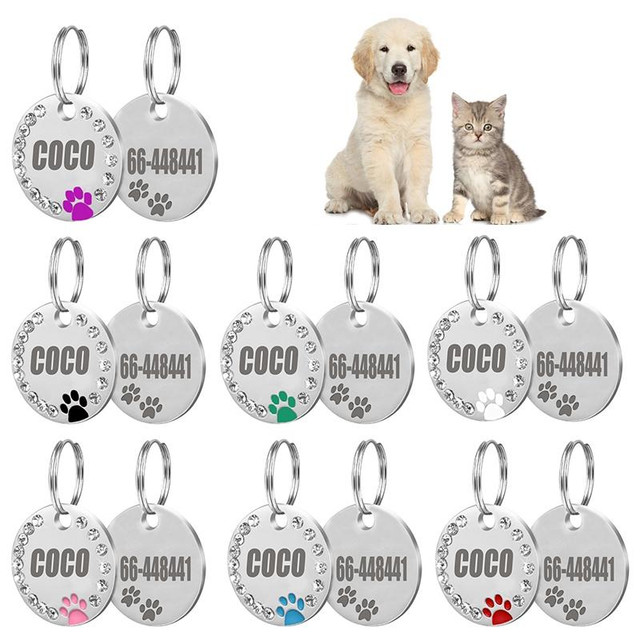 placa-de-cachorro.jpg