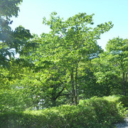 P1340071