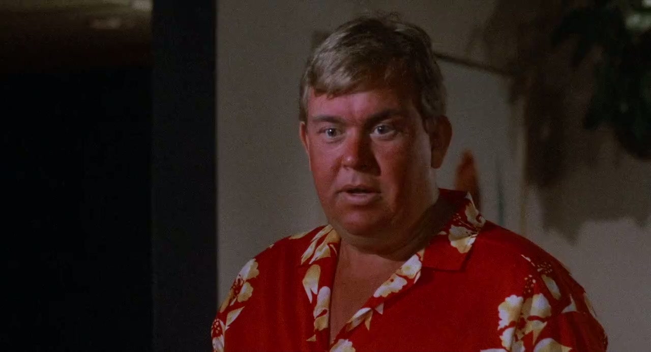 Summer Rental Screenshot