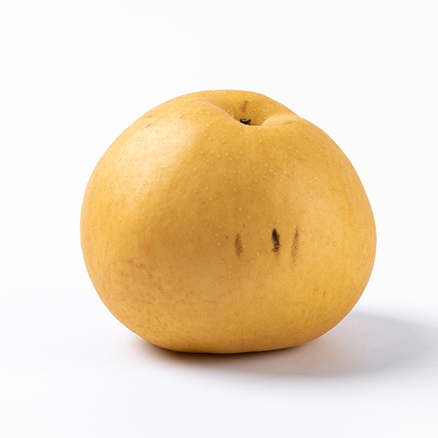 배