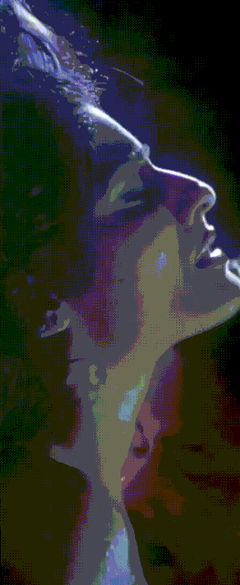 [Image: IMG-8255.gif]