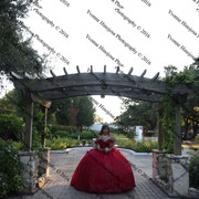 IMG 2659