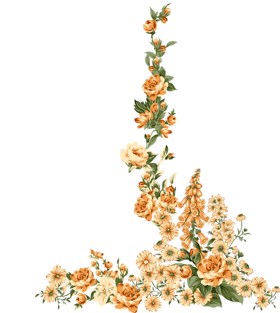 55053654d1f32ff2de84a82fac50faf0.png