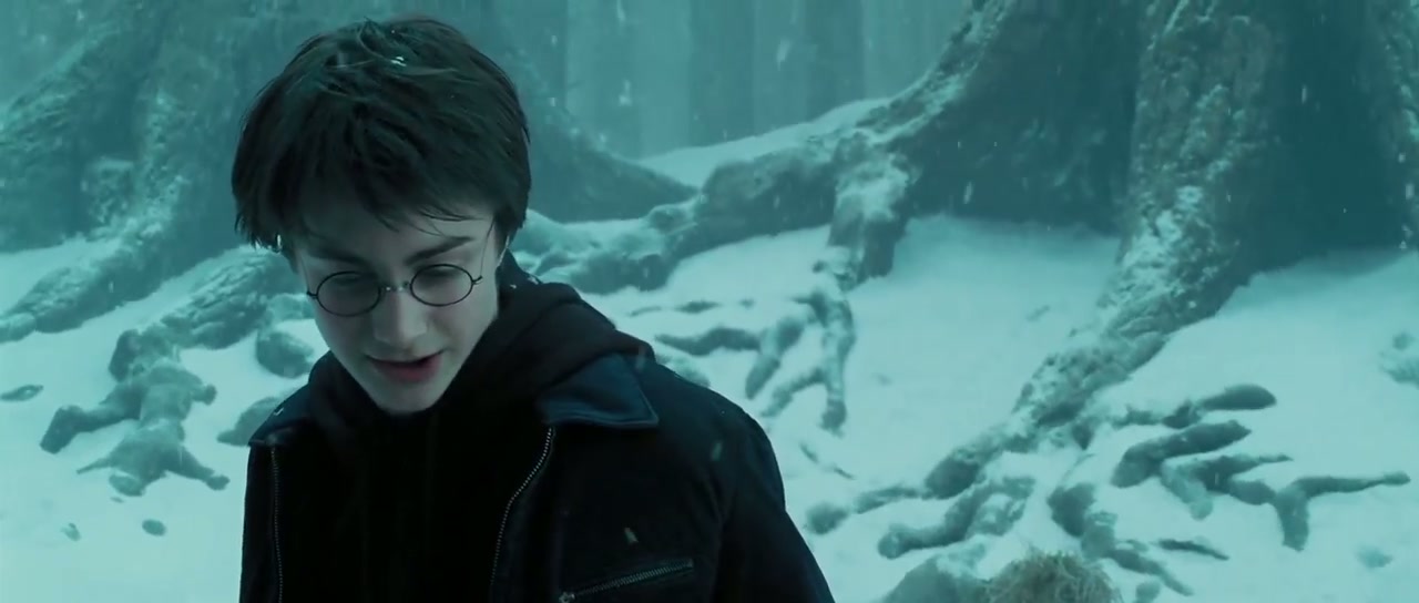 Harry Potter and the Prisoner of Azkaban Screenshot