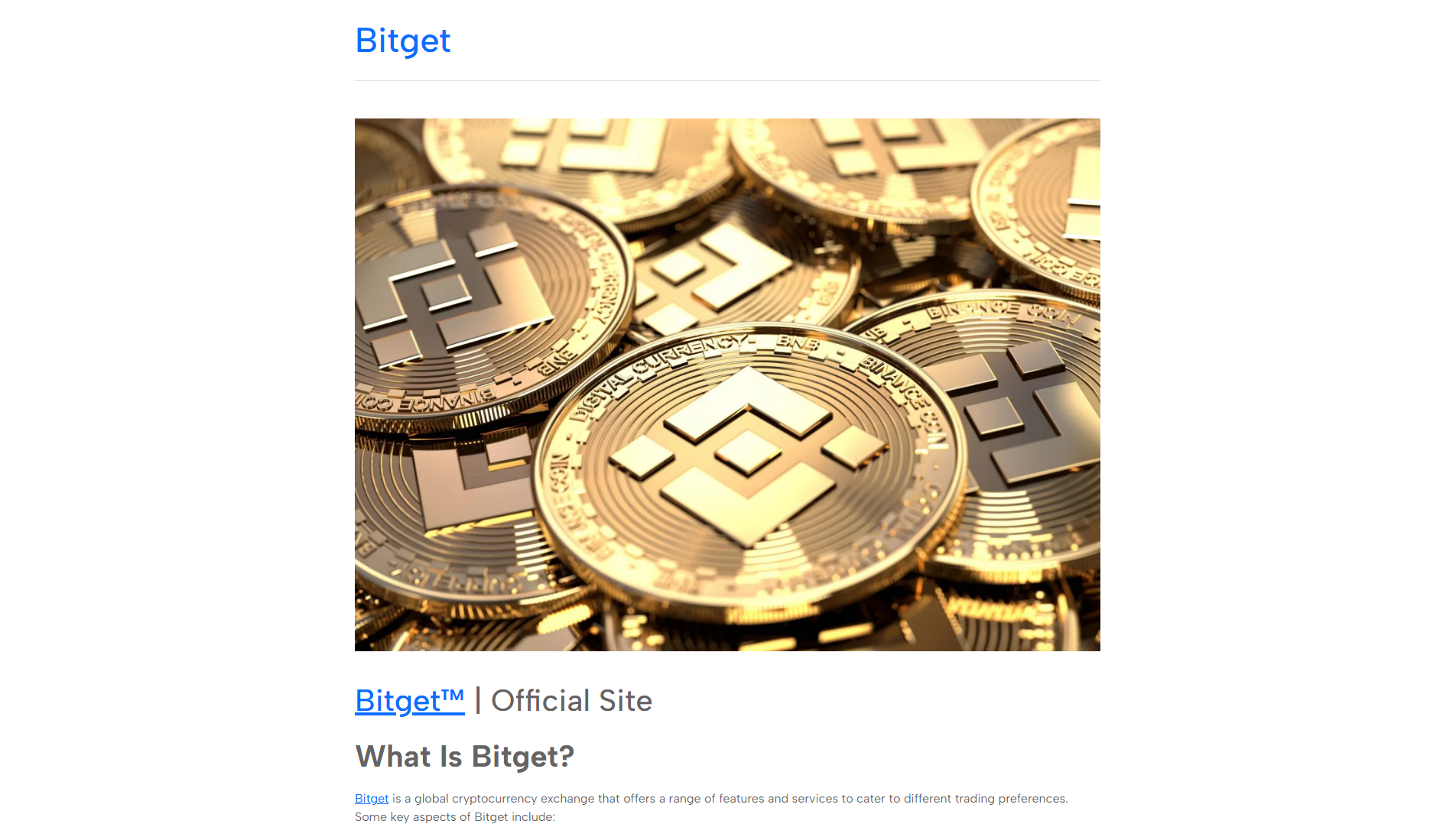 Stored capture of biitget.github.io