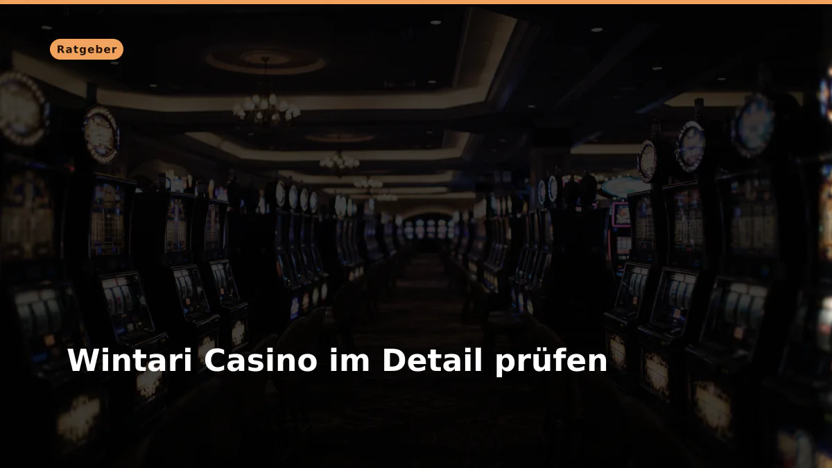 Wintari Casino im Detail prüfen