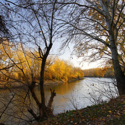 100c0100257