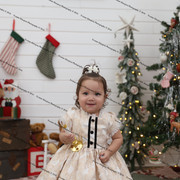 IMG 4221