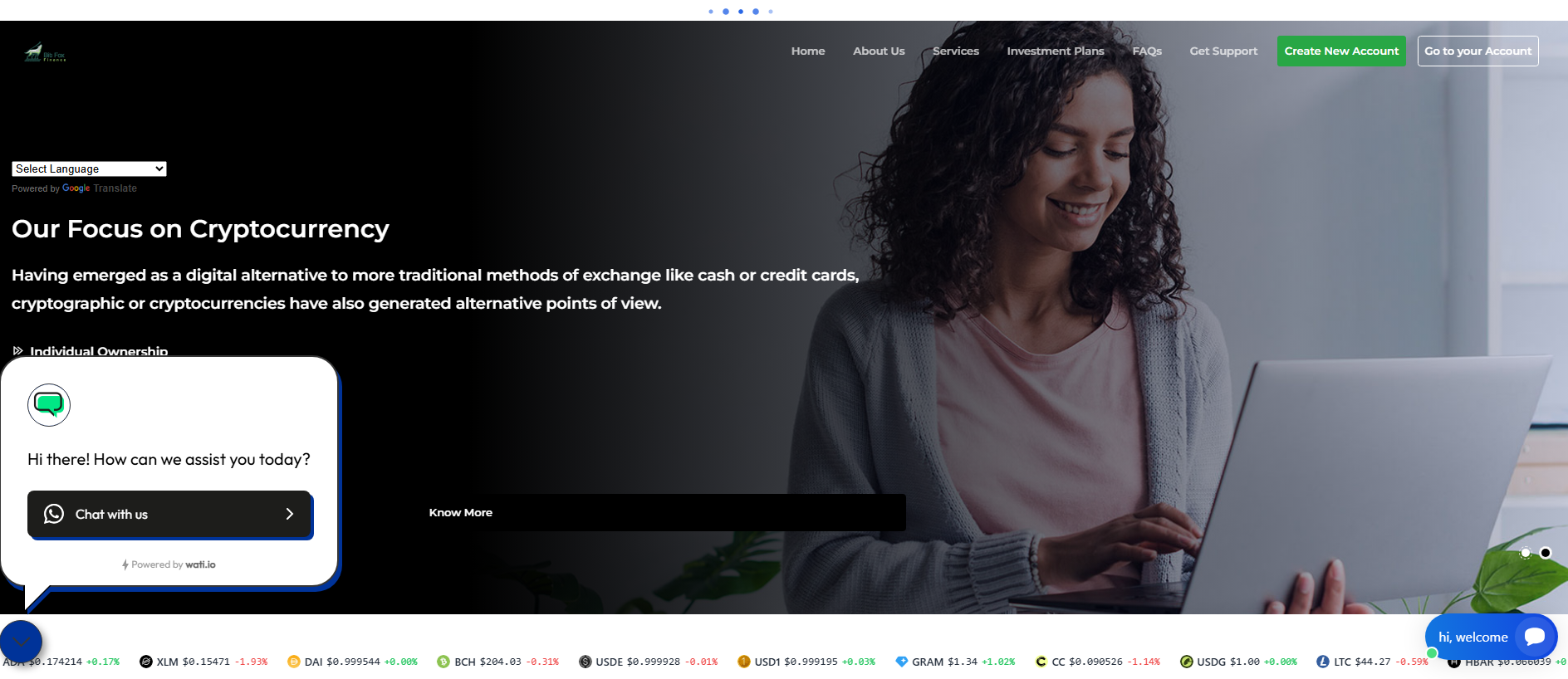 Stored capture of bitfox-f-inc.com