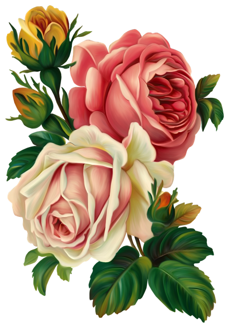 pngwing com (44).png
